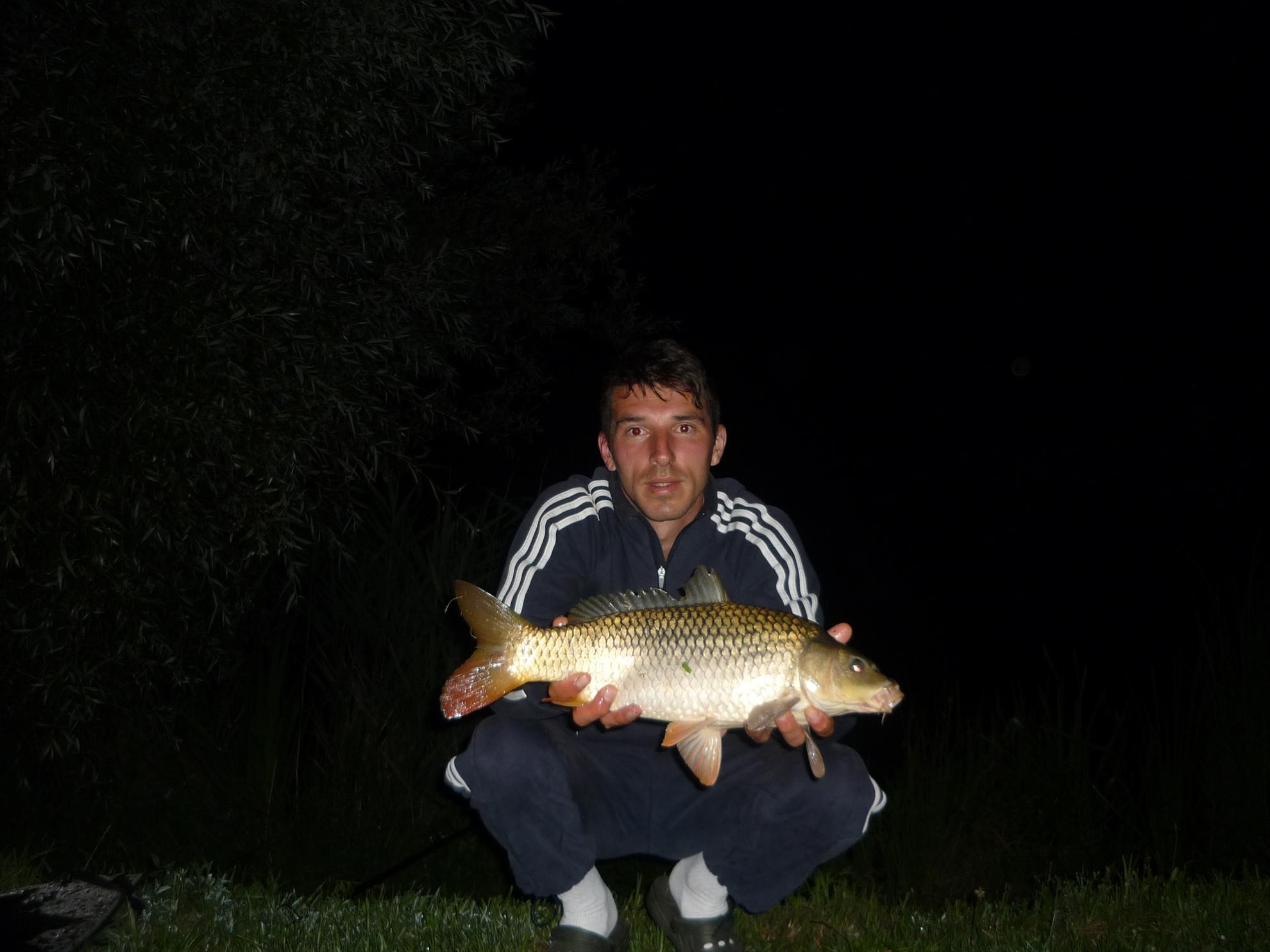 turulung - p1050528.JPG